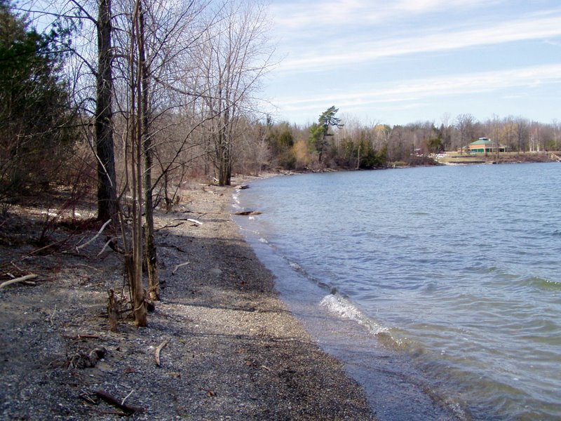 Shelburne Bay Park - Trail Finder